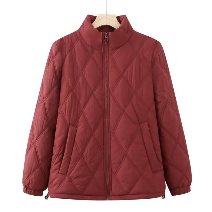 Veste courte en polaire épaisse pour femme, nouvelle mode d'hiver, polyvalente, en coton, haut chaud